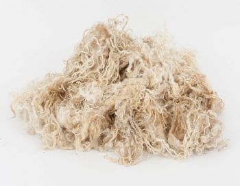Carded wool for felting